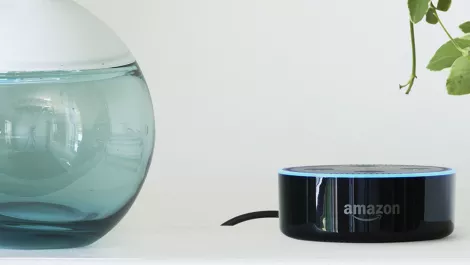 Alexa, say my name: Turns out people love talking to their speakers