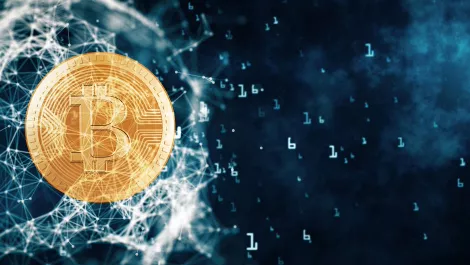 Kiwi Startup Spotlight: Putting data back into consumer's hands with blockchain