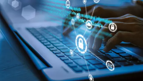 New Zealanders unaware of common cyber scams, not taking basic precautions