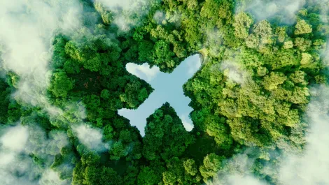Meeting sustainability expectations, but at what cost?