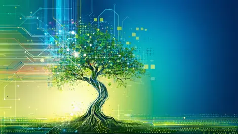 IMP Software marks growth with staff changes & expansion
